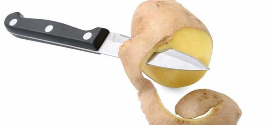 Картофельная кожура