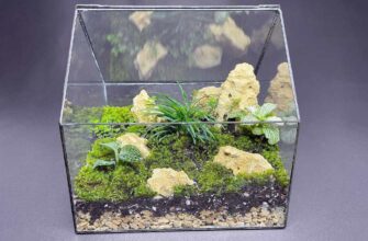 Моссариум/мохнариум