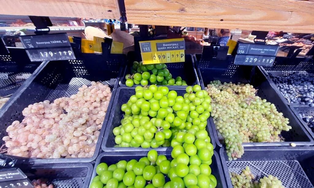 Виноград Шайн мускат