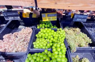 Виноград Шайн мускат